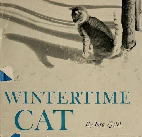 Cover of Wintertime cat