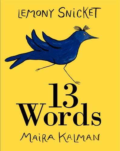 Cover of 13 words