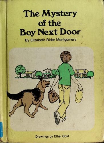 Cover of The mystery of the boy next door