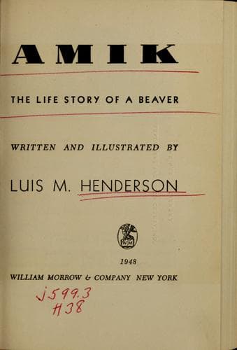 Cover of Amik