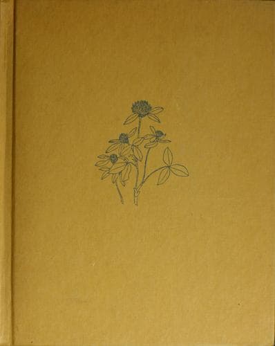 Cover of Rosachok
