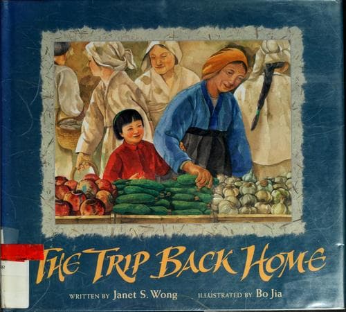Cover of The trip back home