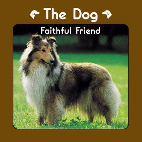 Cover of The dog