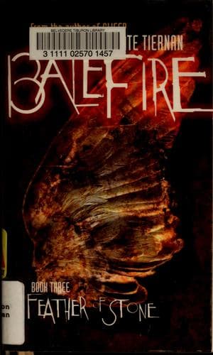 Cover of A feather of stone