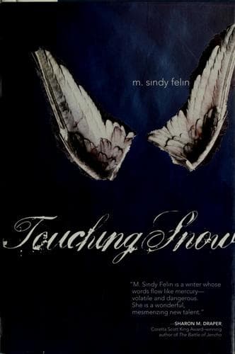 Cover of Touching snow