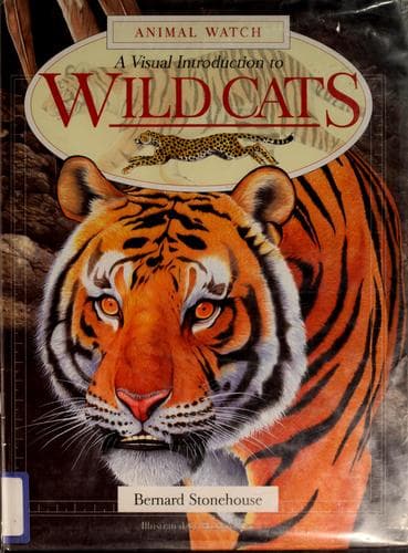 Cover of A visual introduction to wild cats