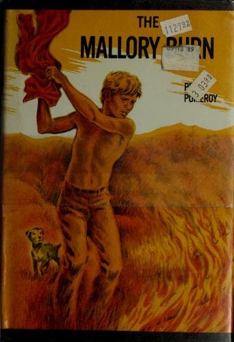 Cover of The Mallory burn