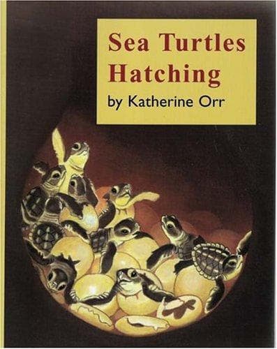 Cover of Sea Turtles Hatching