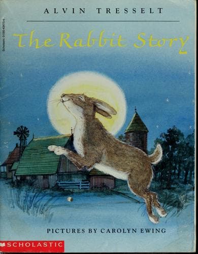 Cover of The rabbit story
