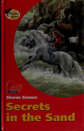 Cover of Secrets in the sand