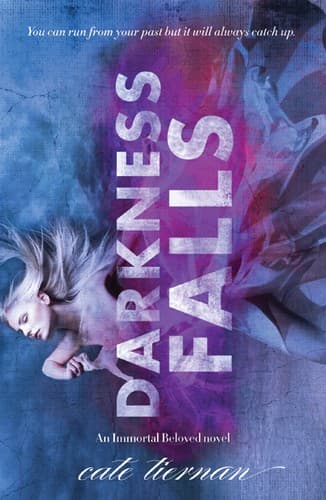 Cover of Darkness falls