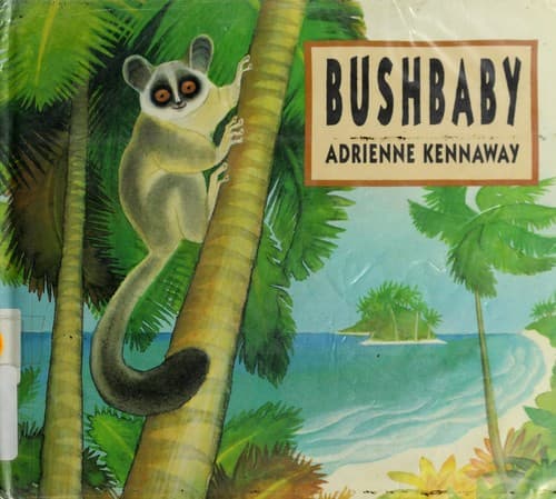 Cover of Bushbaby