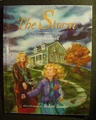 Cover of The storm