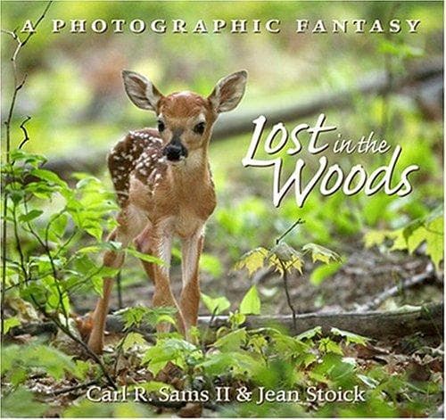Cover of Lost in the woods