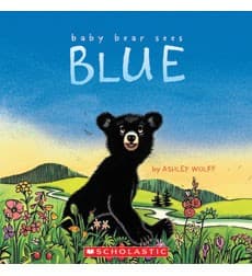 Cover of Baby Bear sees blue