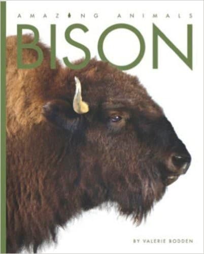 Cover of Bison