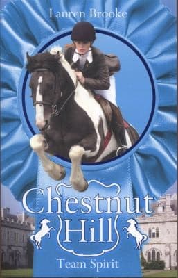 Cover of Team Spirit (Chestnut Hill #5)