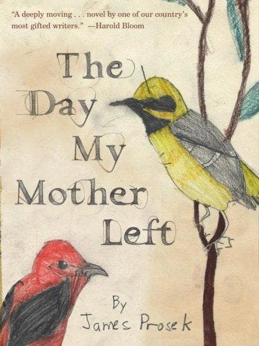 Cover of The day my mother left me