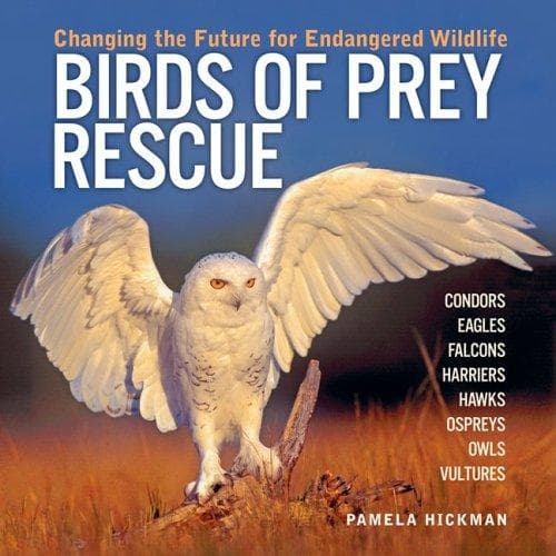 Cover of Birds of Prey Rescue