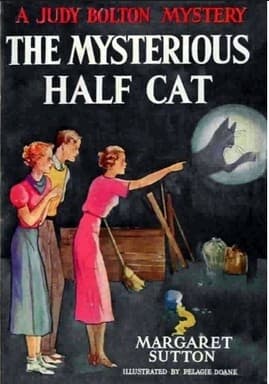 Cover of The mysterious half cat