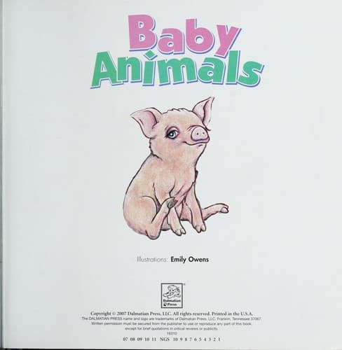 Cover of Baby animals