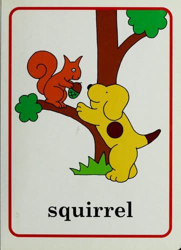 Cover of My animal friends