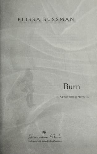 Cover of Burn