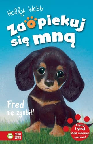 Cover of The lost puppy