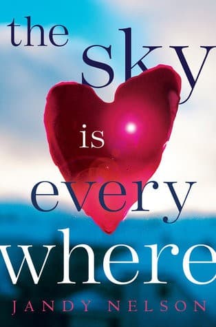 Cover of The sky is everywhere