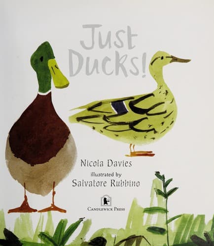 Cover of Just ducks