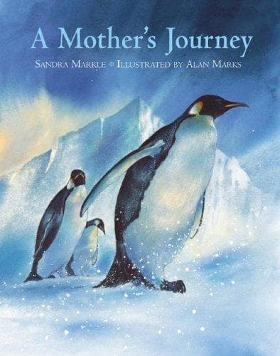Cover of A Mother's Journey