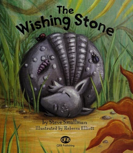 Cover of The wishing stone