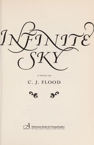 Cover of Infinite sky