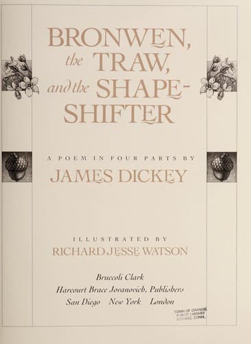 Cover of Bronwen, the traw, and the shape-shifter