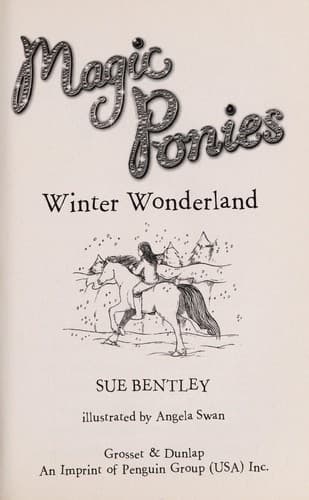 Cover of Winter wonderland