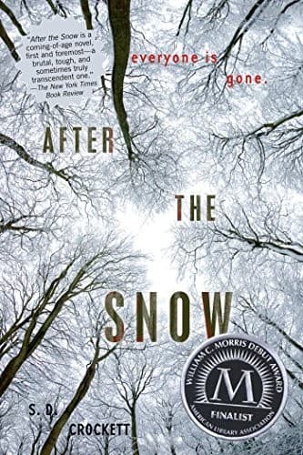 Cover of After the Snow