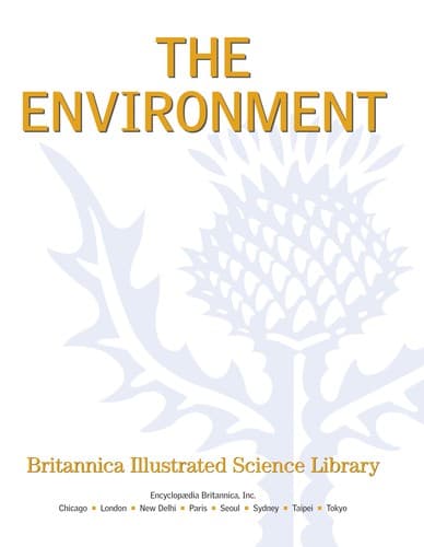 Cover of Fish and amphibians
