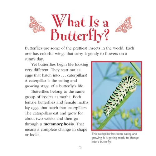 Cover of How do caterpillars become butterflies?