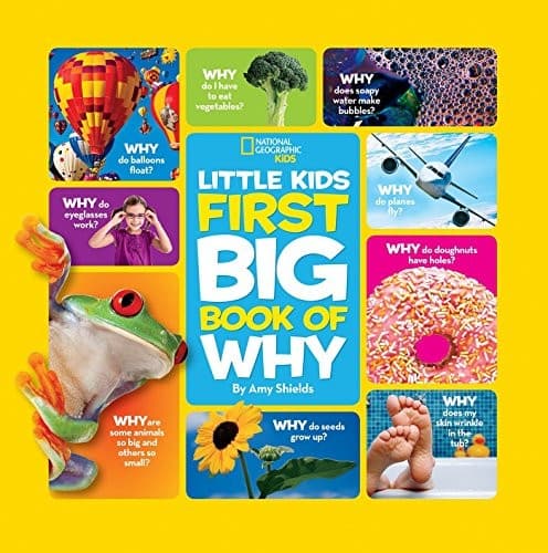 Cover of First big book of why