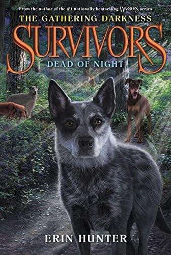 Cover of Dead of night