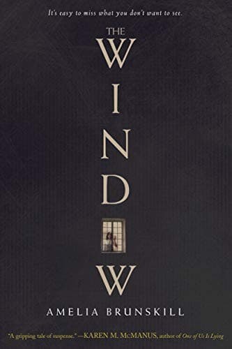Cover of The window