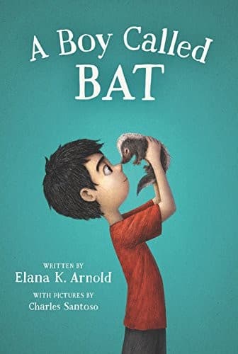 Cover of A boy called Bat