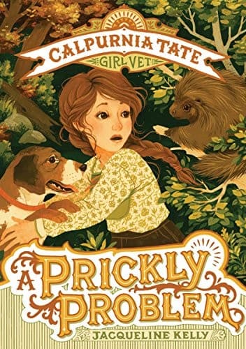 Cover of A prickly problem