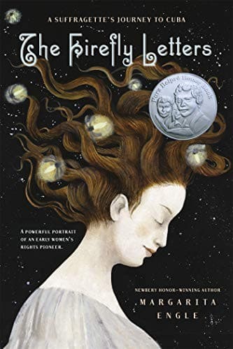 Cover of The firefly letters
