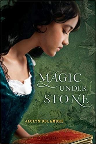 Cover of Magic under stone