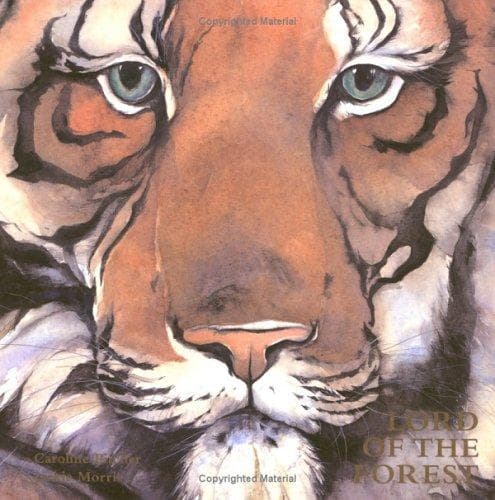 Cover of Lord of the Forest