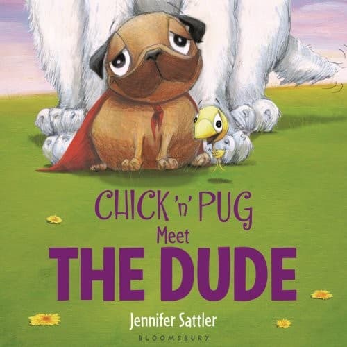 Cover of Chick 'n' Pug meet the Dude