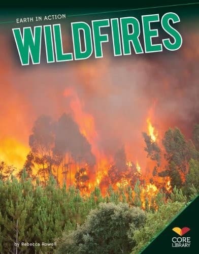 Cover of Wildfires