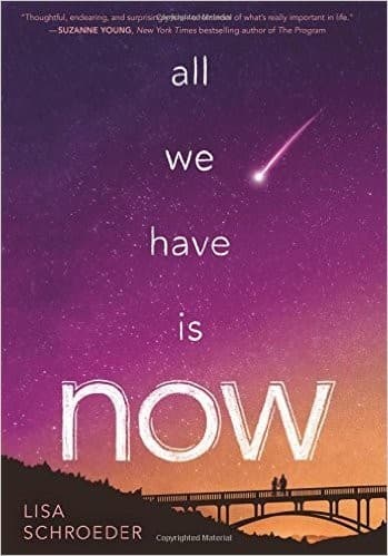 Cover of All we have is now