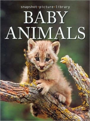 Cover of Baby animals
